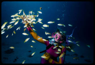 Valerie Taylor with many small yellow fish