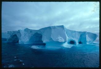 Ice shelf or sheet with arches