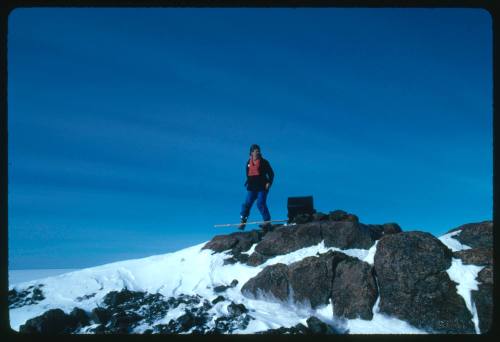A person on top of a raised rocky surface
