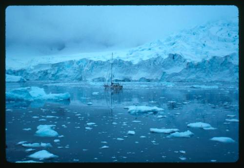 A Greenpeace vessel PELAGIC near an ice shelf