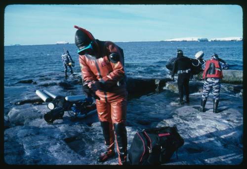 People on a rocky surface near the water