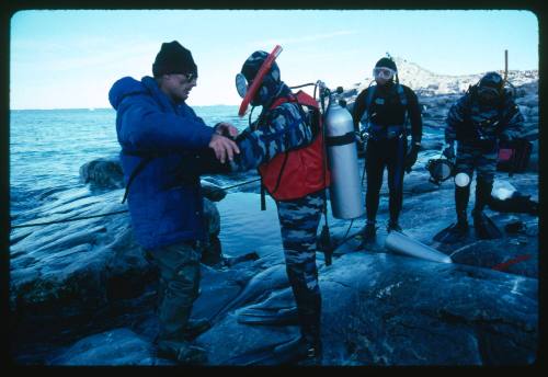 Four men standing on a rock surface near the water