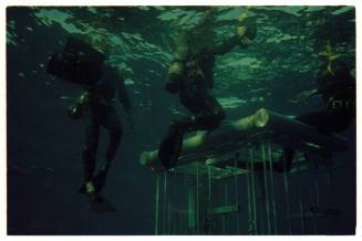 Three divers around a shark cage underwater