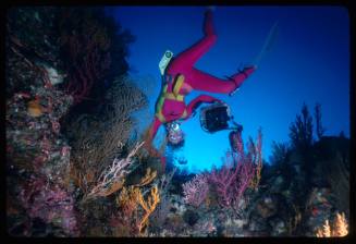 Valerie Taylor near colourful corals with a camera