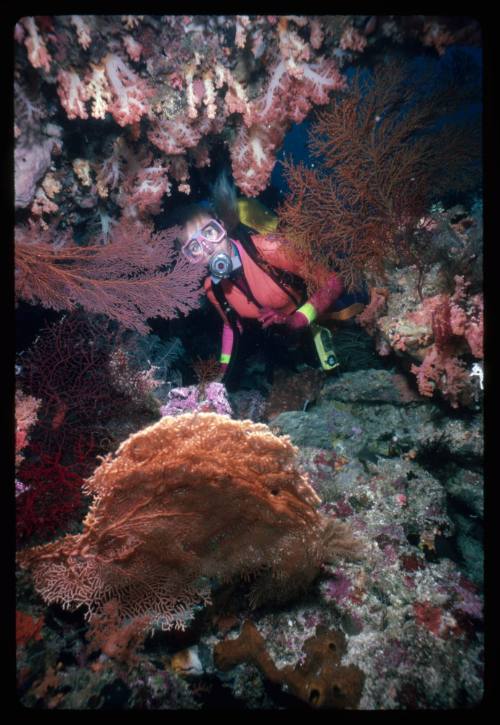 Valerie Taylor amongst corals