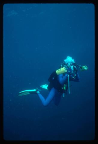 A diver with a camera underwater