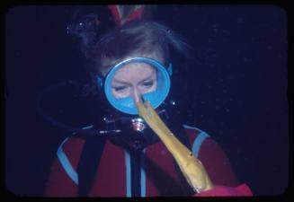 Valerie Taylor looking at a trumpetfish in her left hand