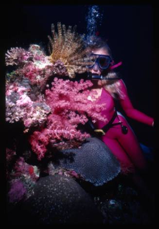 Valerie Taylor with colourful corals