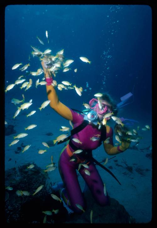 Valerie Taylor with a school of yellow fish