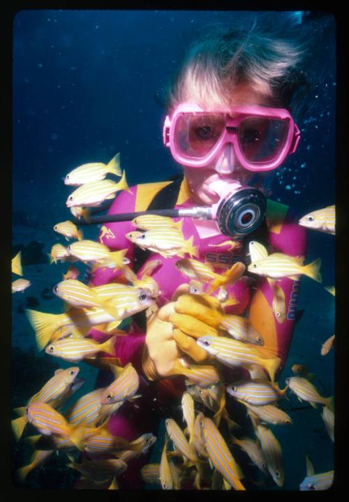 Valerie Taylor surrounded by many small yellow fish