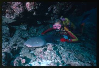 Valerie Taylor and a tawny nurse shark