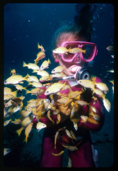 Valerie Taylor surrounded by many yellow fish