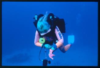 Diver likely Valerie Taylor swimming towards the camera