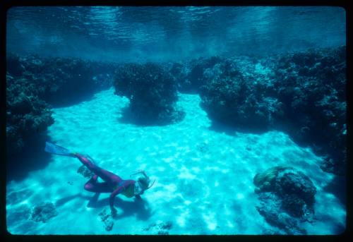 Diver likely Valerie Taylor above the seafloor