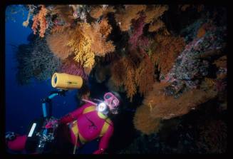 Valerie Taylor looking at corals