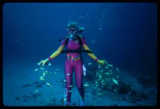 Valerie Taylor near seafloor with yellow fish