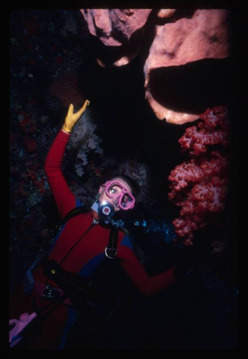 Valerie Taylor looking at corals