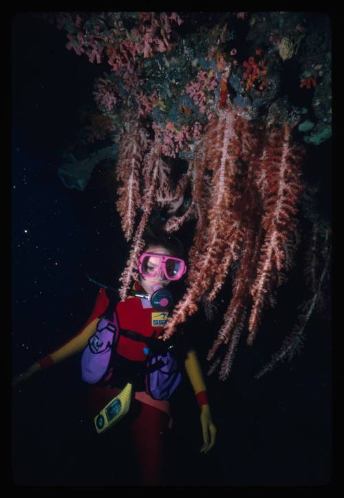 Valerie Taylor amongst corals