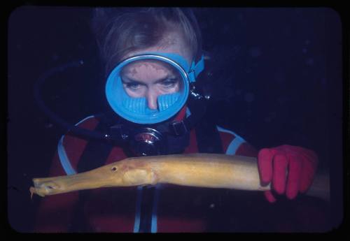 Valerie Taylor looking at a trumpet fish