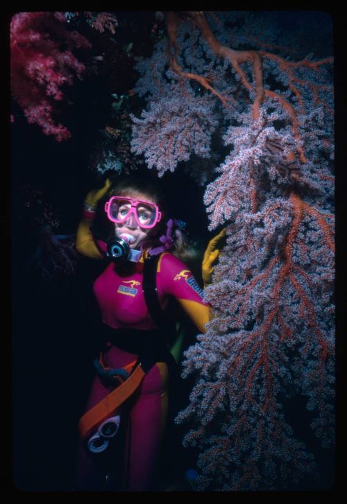 Valerie Taylor amongst coral