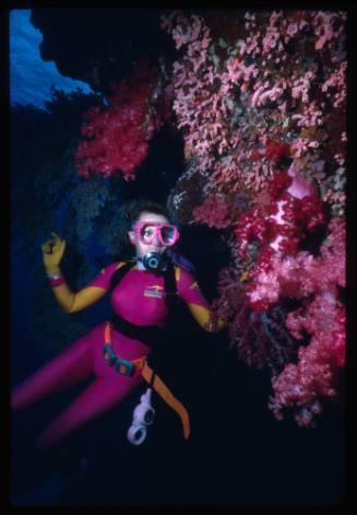 Valerie Taylor looking at corals