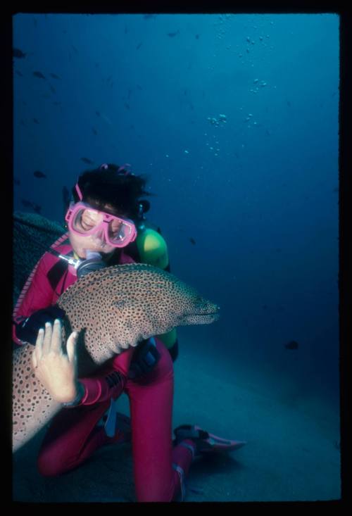 Diver holding moray eel in arms