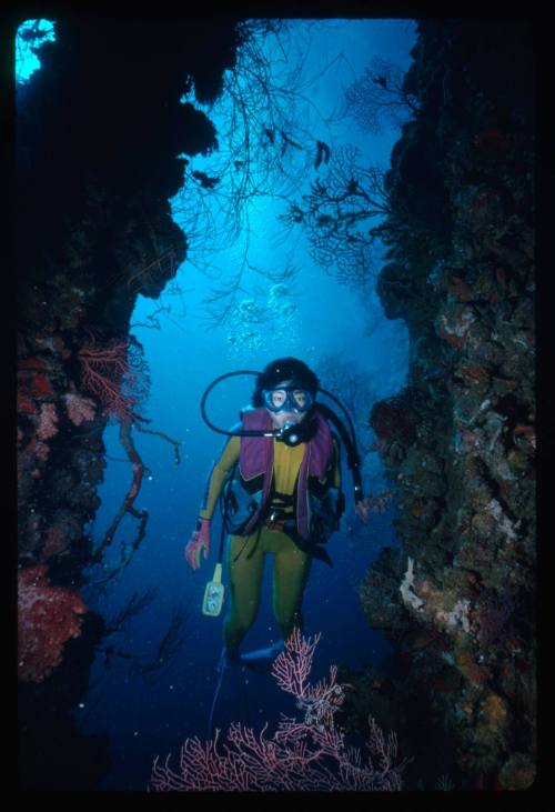 Diver in an underwater crevice