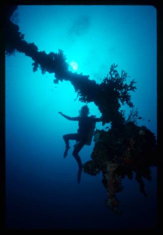 Silhouette of a diver next to a coral formation