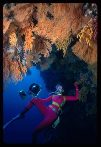 Valerie Taylor looking up at corals above