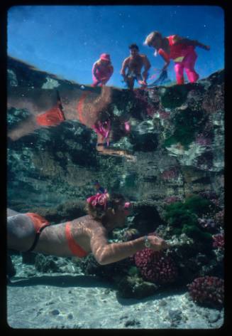 A woman underwater and three people including Valerie Taylor looking down from above