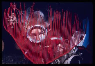 Valerie Taylor looking through red gorgonian coral