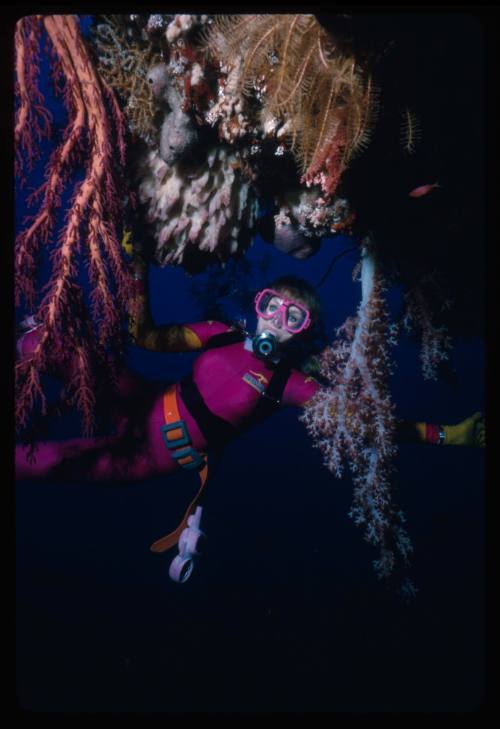 Valerie Taylor amongst corals