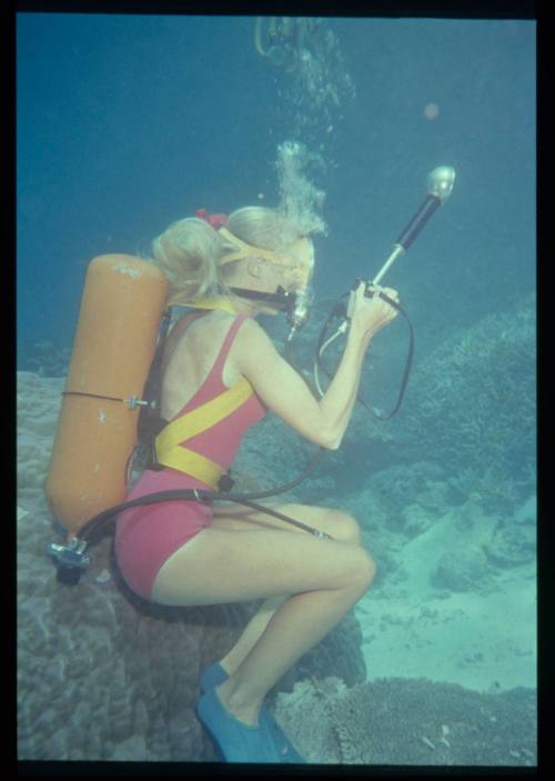 Valerie Taylor with a camera underwater