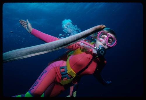 Valerie Taylor underwater with an olive sea snake