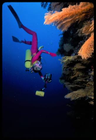 Valerie Talyor descending underwater