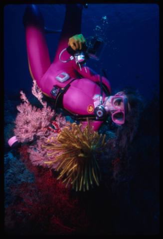 Valerie Taylor amongst colourful corals, crinoid (feather star) and her macrophotography camera set up