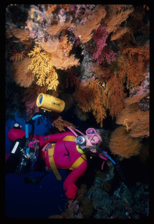 Valerie Taylor looking at corals