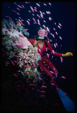 Valerie Taylor with a school of small pink reef fish