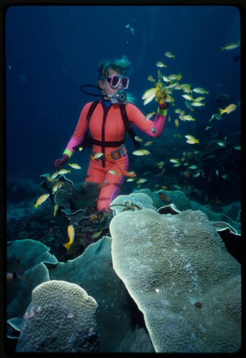 Valerie Taylor with a school of small yellow reef fish 