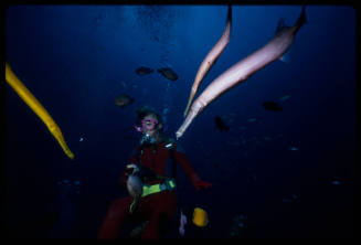 Valerie Taylor with three trumpetfish