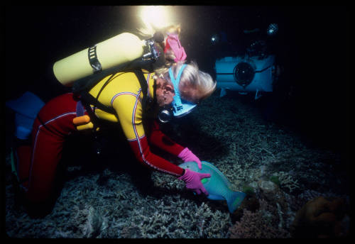 Valerie Taylor holding a sleeping parrotfish