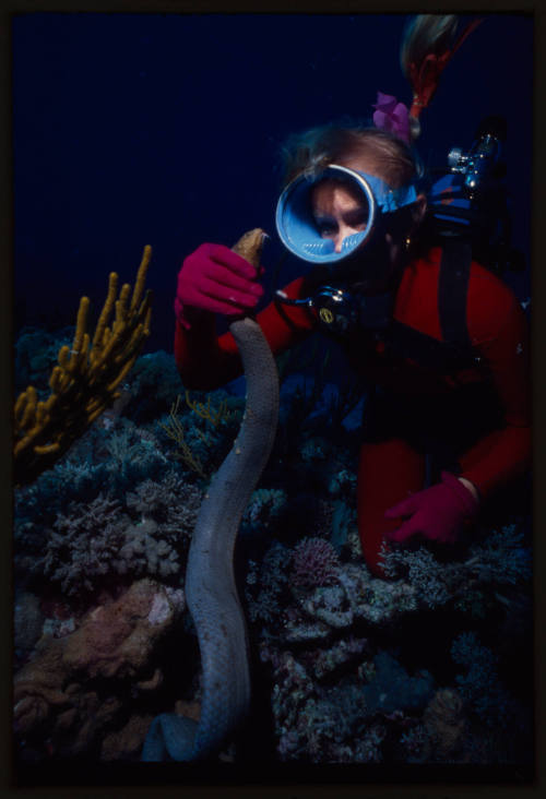 Valerie Taylor and sea snake