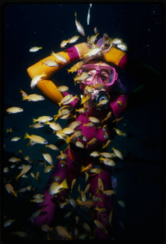 Valerie Taylor feeding common bluestripe snapper (Lutjanus kasmira)