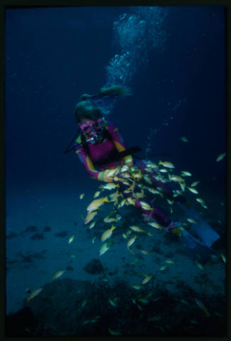 Valerie Taylor feeding common bluestripe snapper (Lutjanus kasmira)