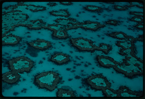 Aeriel shot of coral reefs in Great Barrier Reef