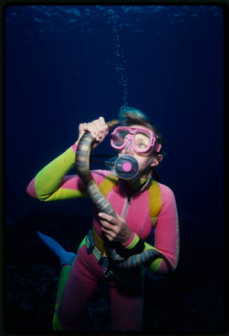 Valerie Taylor holding a black-banded sea krait (Laticauda semifasciata)