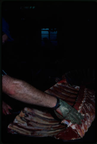 Man with a chainmail glove handling a carcass