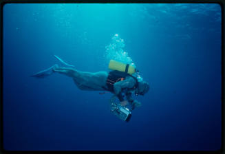 Scuba diver swimming while dressed in the chainmail suit (mesh suit) and holding an underwater camera