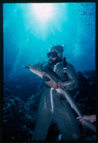 Diver in mesh suit underwater with shark