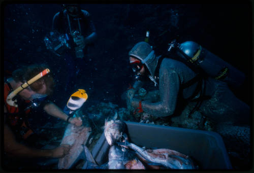 Mark Heighes in mesh suit underwater with cameramen